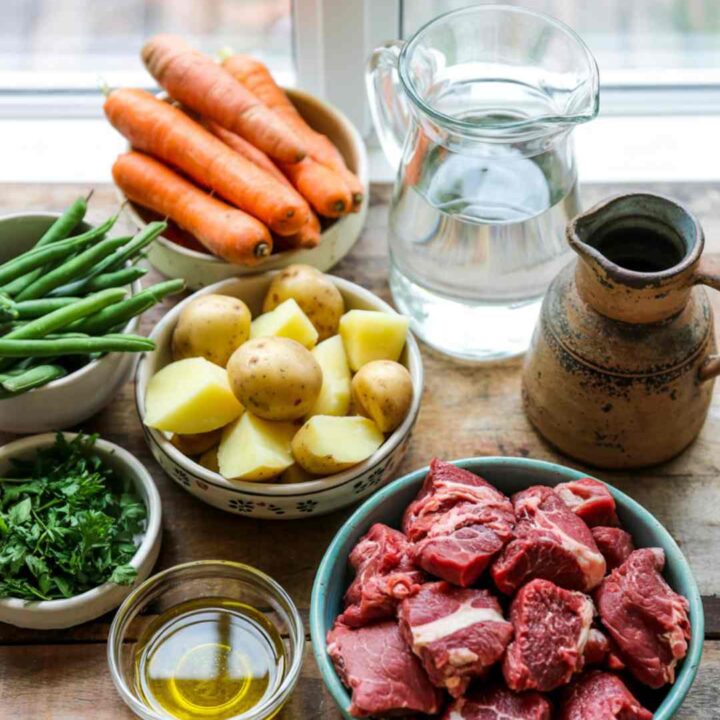 Homemade Beef and Carrot Stew for Dogs