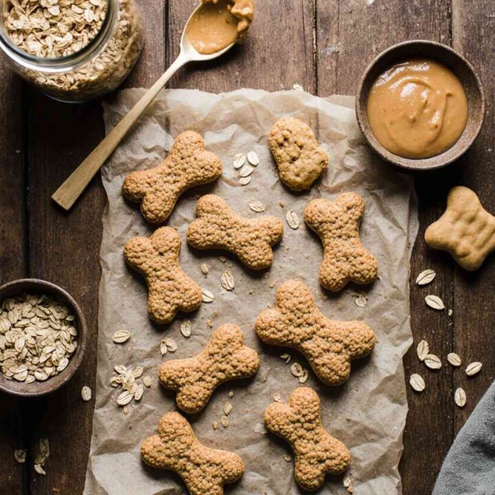 Irresistible Homemade Oatmeal Applesauce Dog Treats