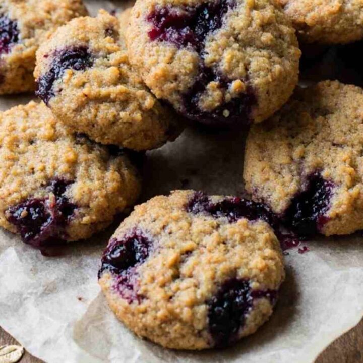 Allergy-Friendly Blueberry Dog Treat