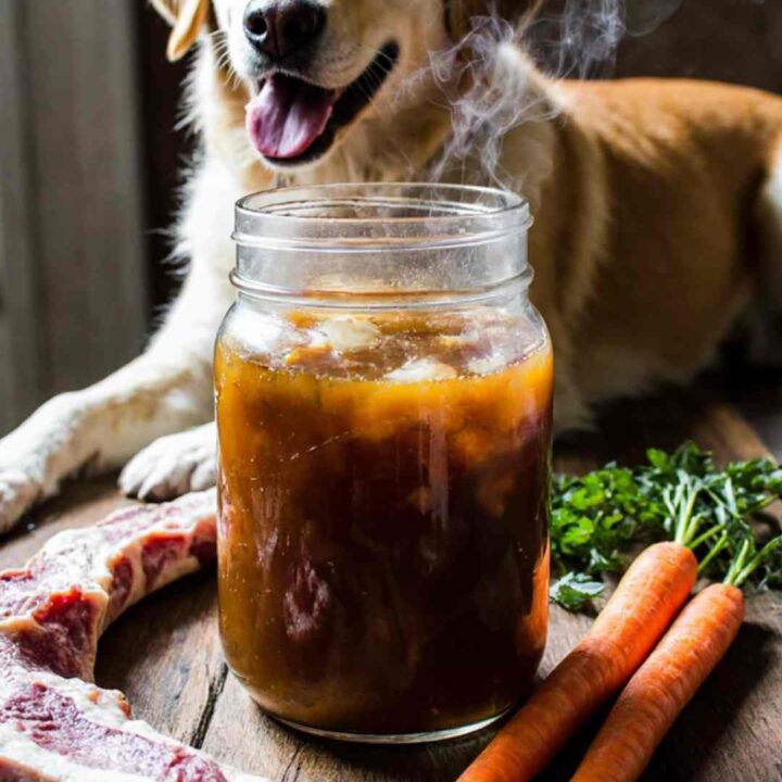 Beef Bone Broth for Dogs