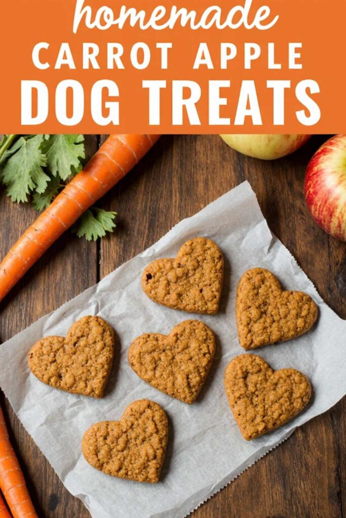 Homemade-Carrot-Apple-Dog-Treats-.
