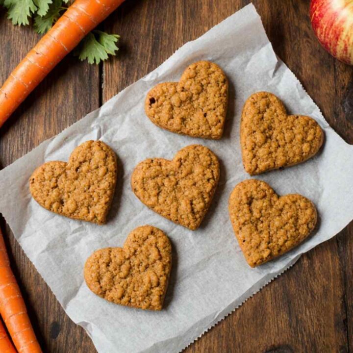homemade carrot apple dog treats
