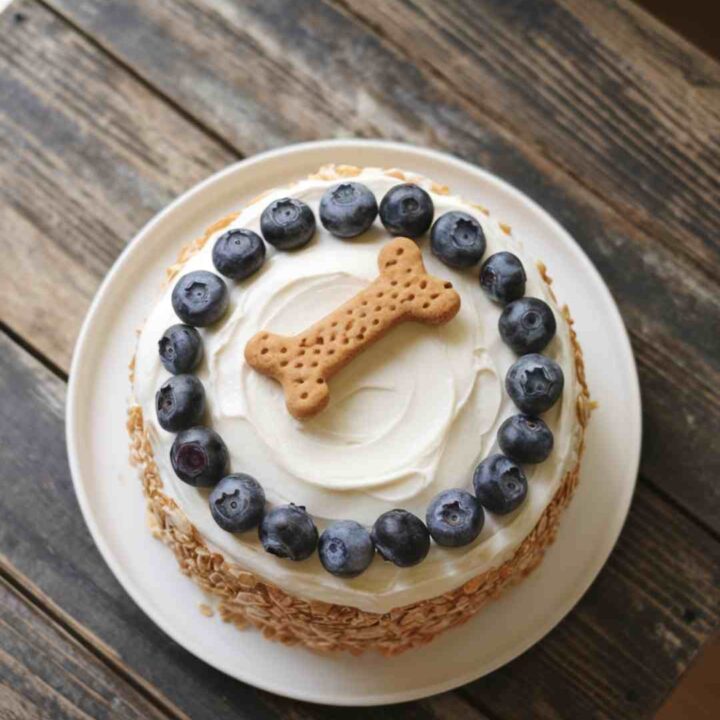 sweet potato and oatmeal dog cake with yogurt frosting and dog treat topper
