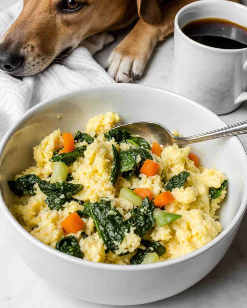 Homemade Dog Food Recipes You Can Freeze