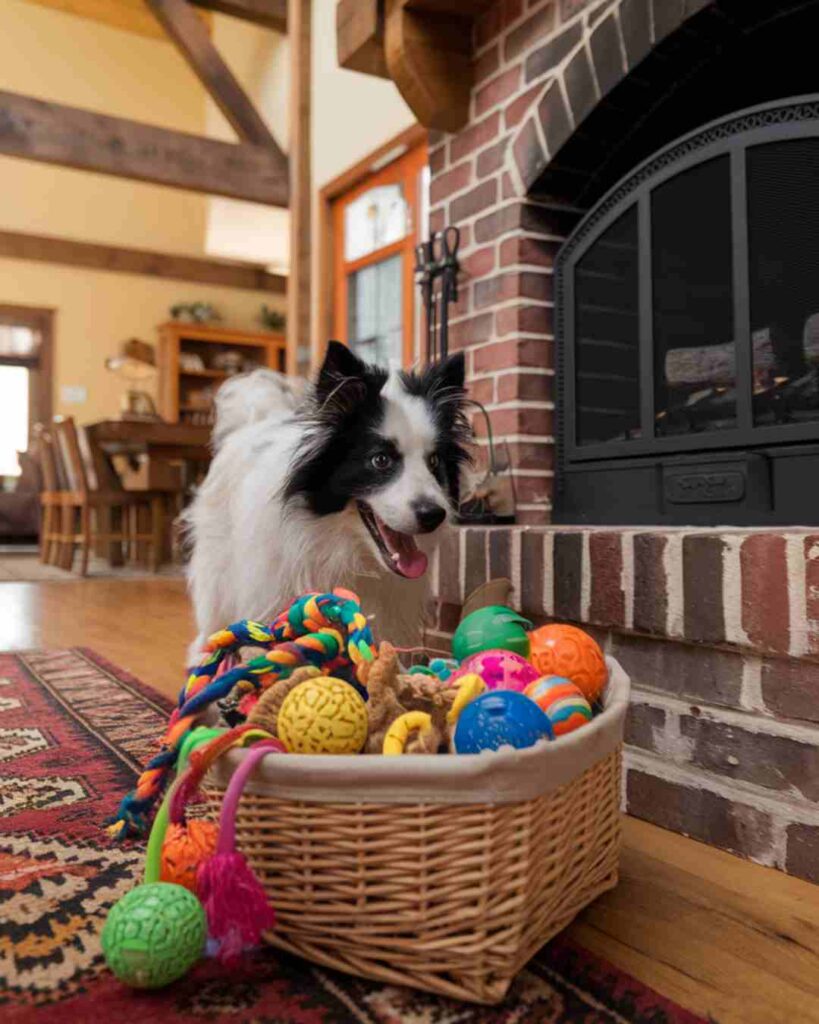 Keep Your Dog Entertained While at Work