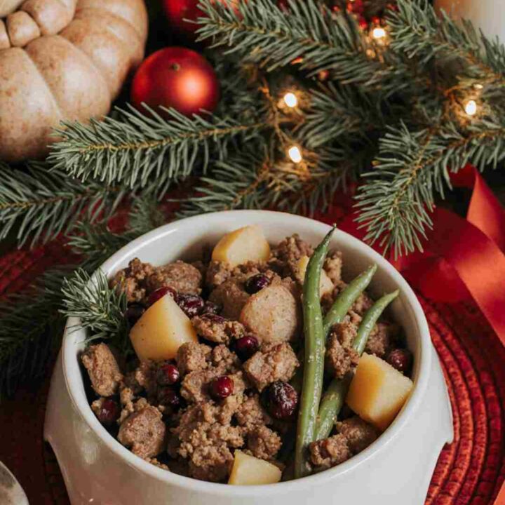 Festive Christmas Dog Food Recipe Your Pup Will Love