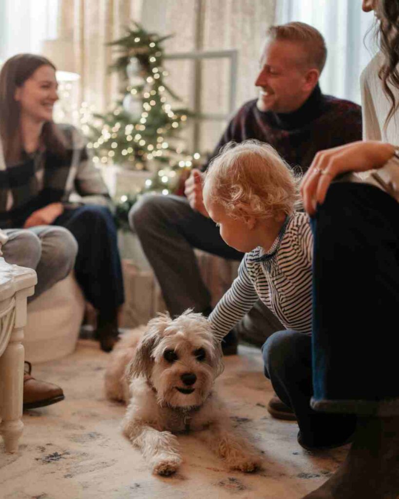 keeping your dog calm during family gatherings