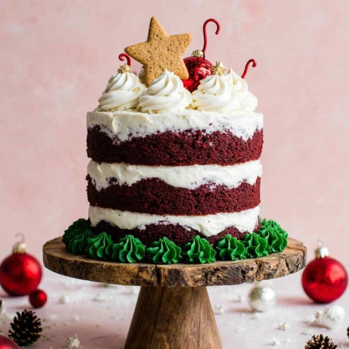 Festive Christmas Dog