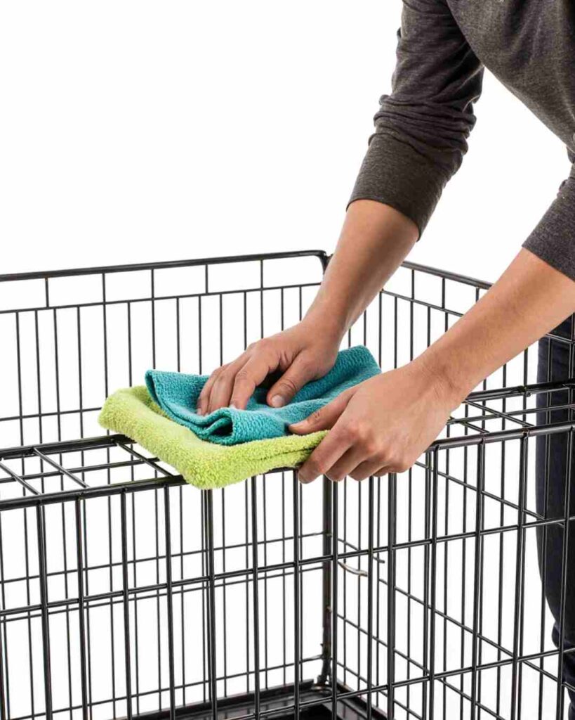 Dog Room Cleaning Routine