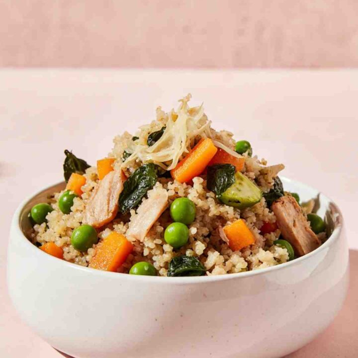 Rainbow Veggie & Quinoa Pup Bowls