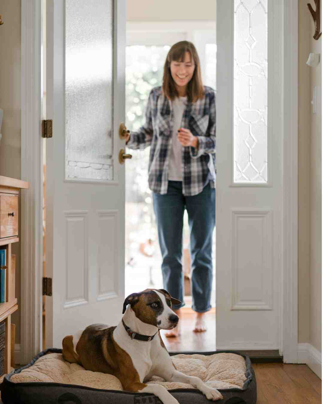 How to stop a dog from jumping when excited