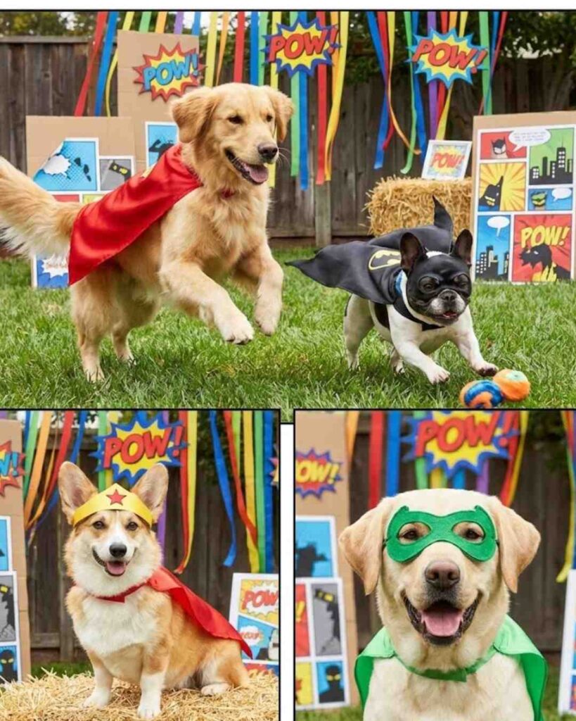 dog party themes